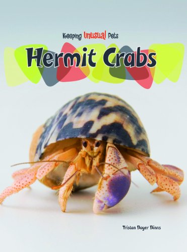 Hermit Crabs by Tristan Boyer Binns