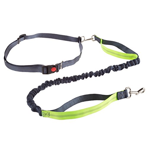 Algopix Similar Product 5 - PETMAKER HandsFree Dog LeashDual