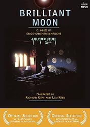 Brilliant Moon