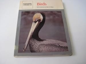 Birds: Readings from Scientific American by Barry W. Wilson