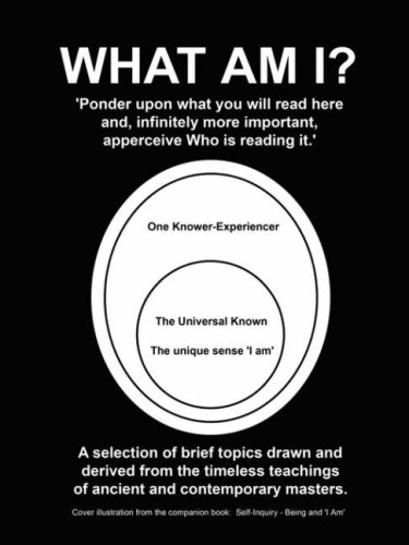 What Am I? by B. A. Realist