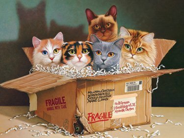 Six Pack - 500 Piece Jigsaw Puzzle By Cobble Hill