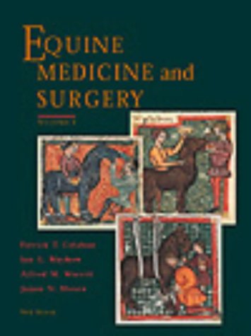 Minimal Access Surgical Anatomy