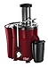 Russell Hobbs 20366-56 Desire - Extracteur de jus, 2 vitesses, pot de 700ml, serrure....