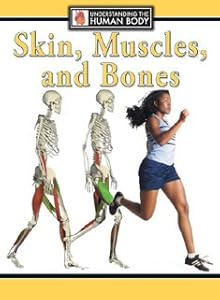 Skin, Muscles, and Bones (Understanding the Human Body)