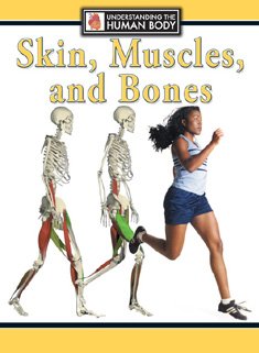 Skin, Muscles, and Bones (Understanding the Human Body) by Steve Parker