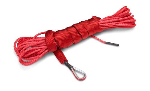Algopix Similar Product 10 - 50 Ft AmsteelBlue Synthetic ATVUTV