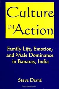 Culture in Action: Family Life, Emotion, & Male Dominance in Banaras, by Steve Derne