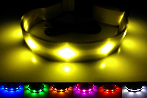 GoDoggie-GLOW USB Rechargeable LED Dog Safety Collar, Medium ( 13.4 - 19.7