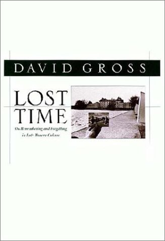 Lost Time: On Remembering and Forgetting in Late Modern Culture (Critical Perspectives on Modern Culture) by David Gross