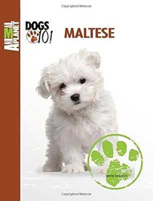 Maltese