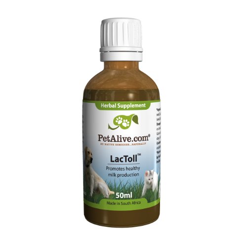 Algopix Similar Product 1 - PetAlive LacToll for Healthy Lactation