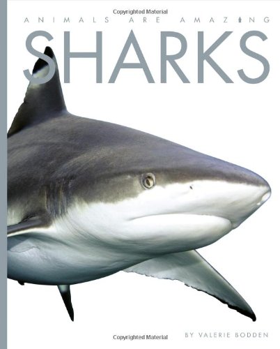 Sharks (Animals Are Amazing) by Valerie Bodden