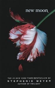 New Moon (Thorndike Press Large Print Literacy Bridge Series)