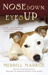 Nose Down, Eyes Up: A Novel