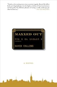 Maxxed Out: A Novel