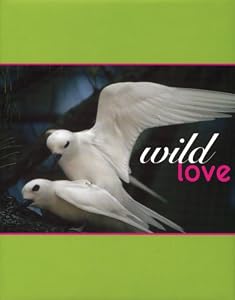 Wild Love