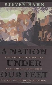 A Nation under Our Feet: Black Political Struggles in the Rural South from Slavery to the Great Migration by Steven Hahn
