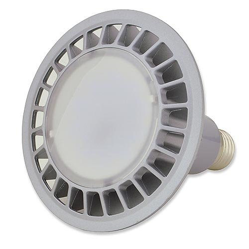 LEDwholesalers Dimmable PAR38 LED Wide Angle Flood Light Standard Screw Base, 20-Watt, Warm White, 1342WW