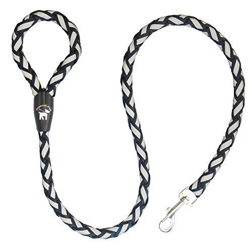 Protecta Pup Reflective Dog Leash - The Safer Dog Walking and Training Leash - Black 4-Foot