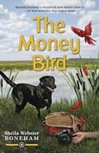 The Money Bird by Sheila Webster Boneham