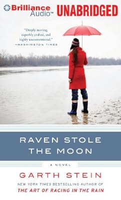Raven Stole the Moon