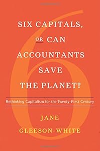 Six Capitals, or Can Accountants Save the Planet?: Rethinking Capitalism for the Twenty-First Century