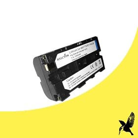 Halcyon 2000 mAH Lithium Ion Replacement Battery for Sony HDR-FX7 3-CMOS Sensor HDV High-Definition Handycam Digital Camcorder and Sony NP-F550