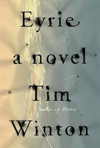 Eyrie: A Novel