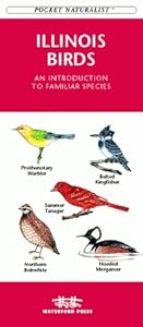 Illinois Birds: An Introduction to Familiar Species (Pocket Naturalist) by Waterford
