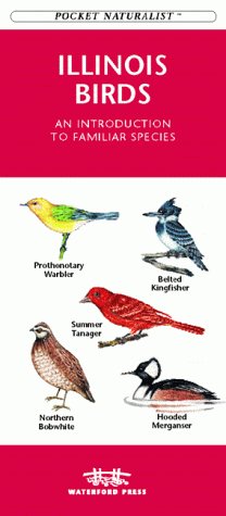 Illinois Birds: An Introduction to Familiar Species (Pocket Naturalist) by Waterford
