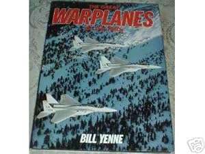 Great Warplanes of the 1980's