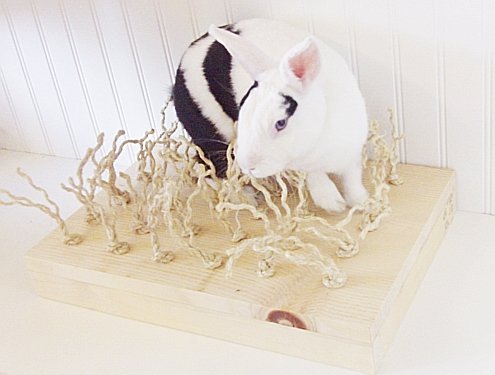 Sisal Carpet Chewing and Digging Station Rabbit Accessories