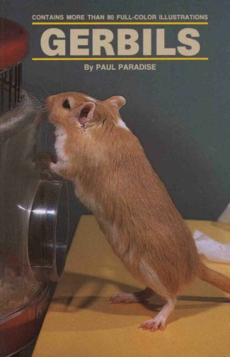 Gerbils by Paul R. Paradise