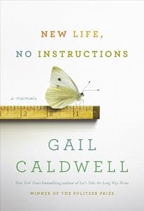 New Life, No Instructions: A Memoir
