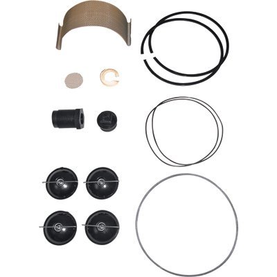

Fill-Rite 5200KTF1828 Fuel Transfer Pump Repair Kit for Series 5200