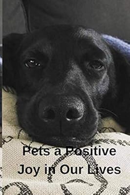 Pets A Positive Joy in Our Lives
