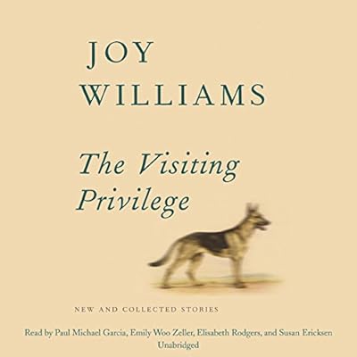 The Visiting Privilege: New and Collected Stories