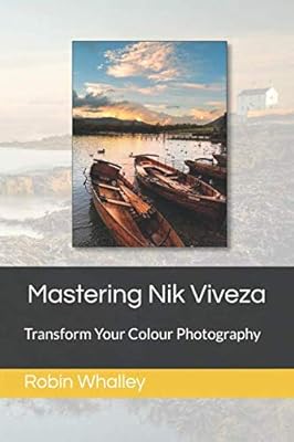 Mastering Nik Viveza: Transform Your Colour Photography