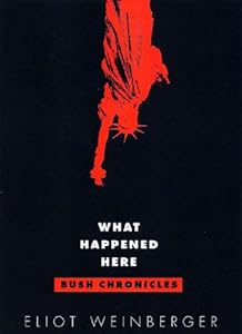 What Happened Here: Bush Chronicles