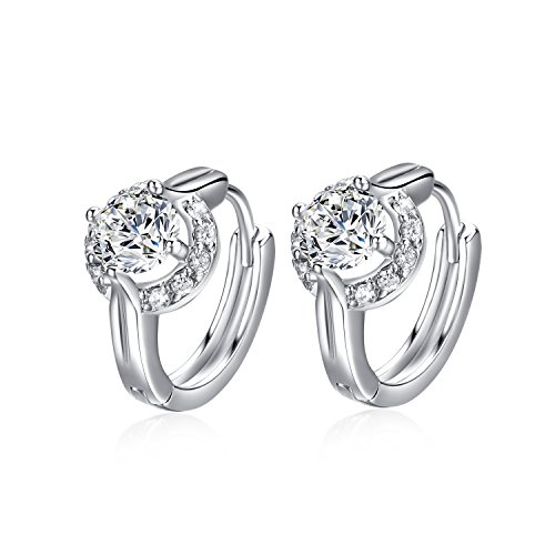 Seeway pierced earrings Studs Stainless Steel Round Clear Cubic-zirconia hoop earrings for Women