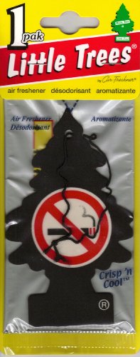 No Smoking Car Freshener