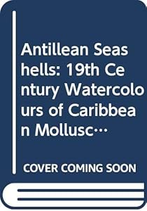 Antillean Seashells: 19th Century Watercolours of Caribbean Molluscs Painted by Henrik Van Rijgersma by Henry E. Coomans