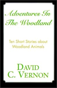 Adventures in the Woodland by David C. Vernon