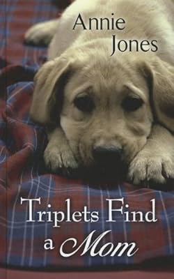 Triplets Find a Mom (Thorndike Press Large Print Christian Fiction)