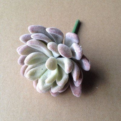 All Kinds of Artficial Pachyveria,artificial Succulent Plants. (4)