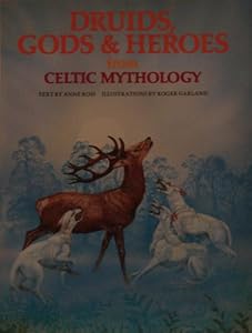 DRUIDS GODS&HEROS/CELT (World mythologies series)