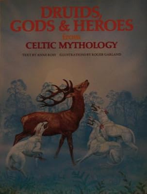 DRUIDS GODS&HEROS/CELT (World mythologies series)