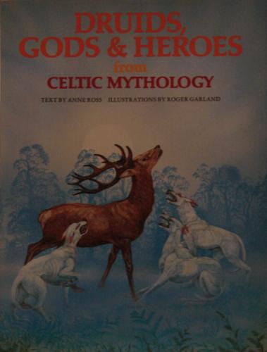 DRUIDS GODS&HEROS/CELT (World mythologies series) by Anne Ross