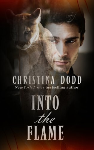 Into the Flame by Christina Dodd